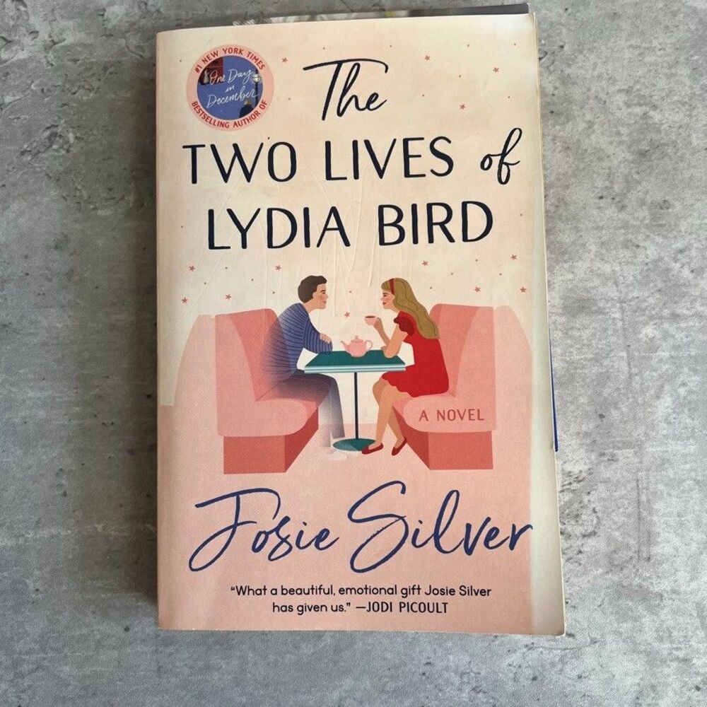 The Two Lives of Lydia Bird A Novel By Josie Silver Paperback NYT Bestseller